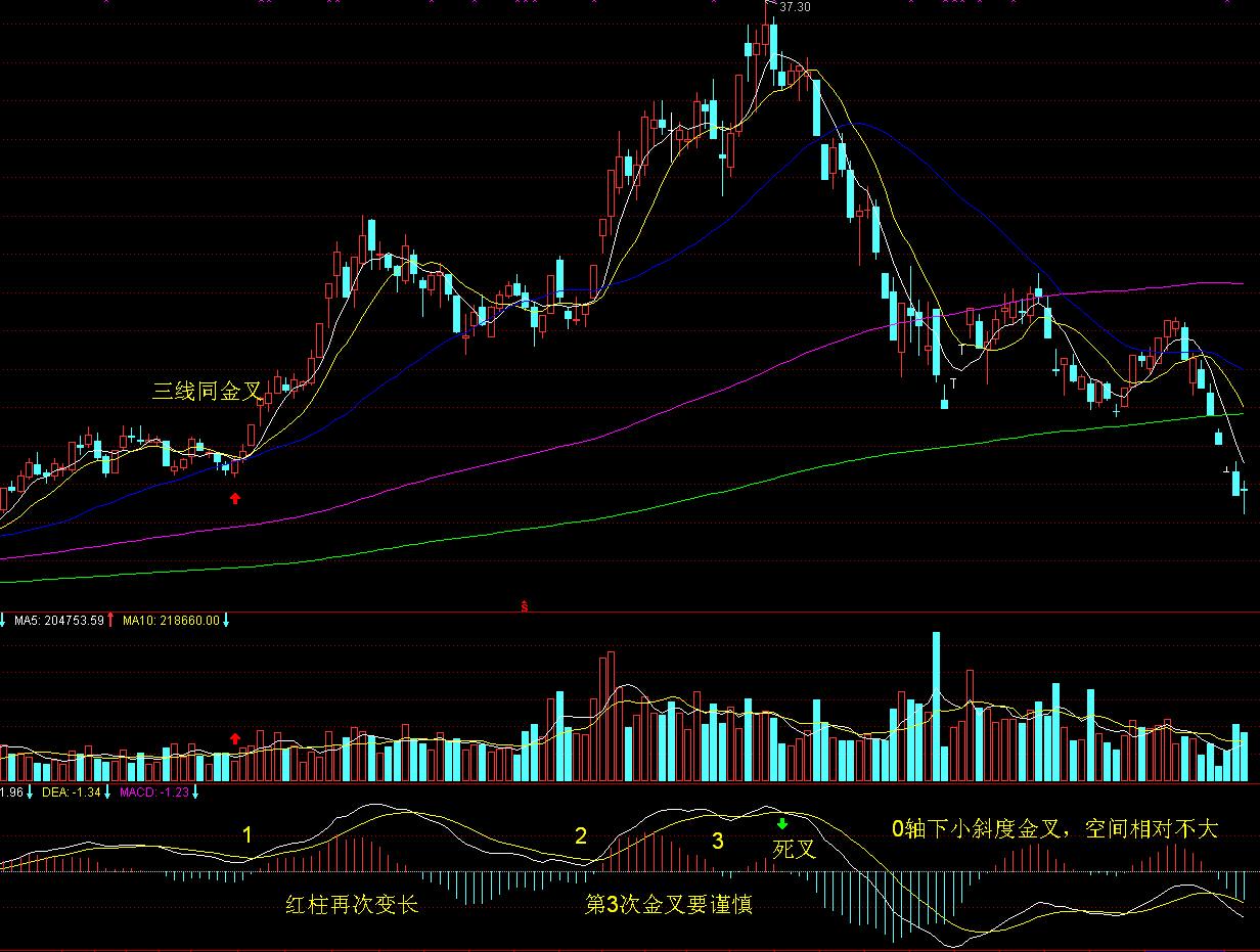 客都卫士风采录⑧丨梅州市中级人民法院刑庭副庭长曾园芳:把“刚柔并济”写进司法答卷