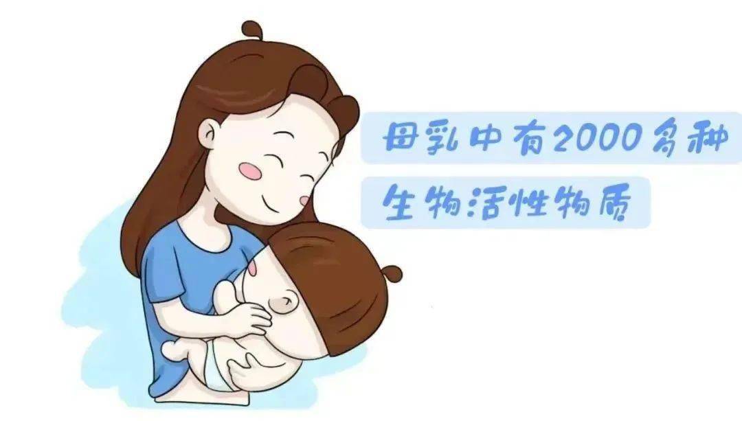 “柔性方案”巧解租赁纠纷 “执前调解”助力经营焕发新生机